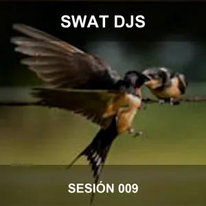 Sesion de musica step, fitness, gap, body pump