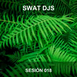 Sesion musica arabe para danza del vientre, aerobelly