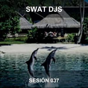 Sesion musica arabe para danza del vientre, aerobelly