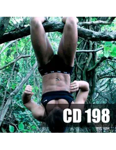 Sesion de musica step, fitness, gap, body pump